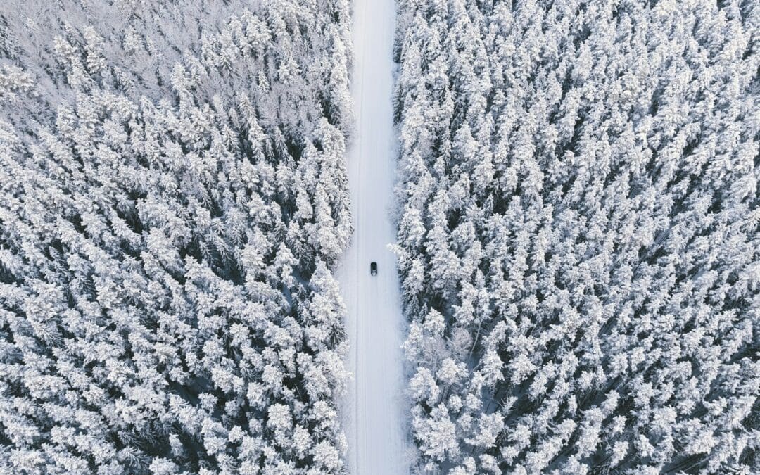 Preventing Cargo Damage During Winter Transport Services